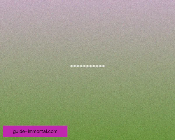 天天酷跑圣斗狮全新攻略揭秘最强技能与搭配技巧解析